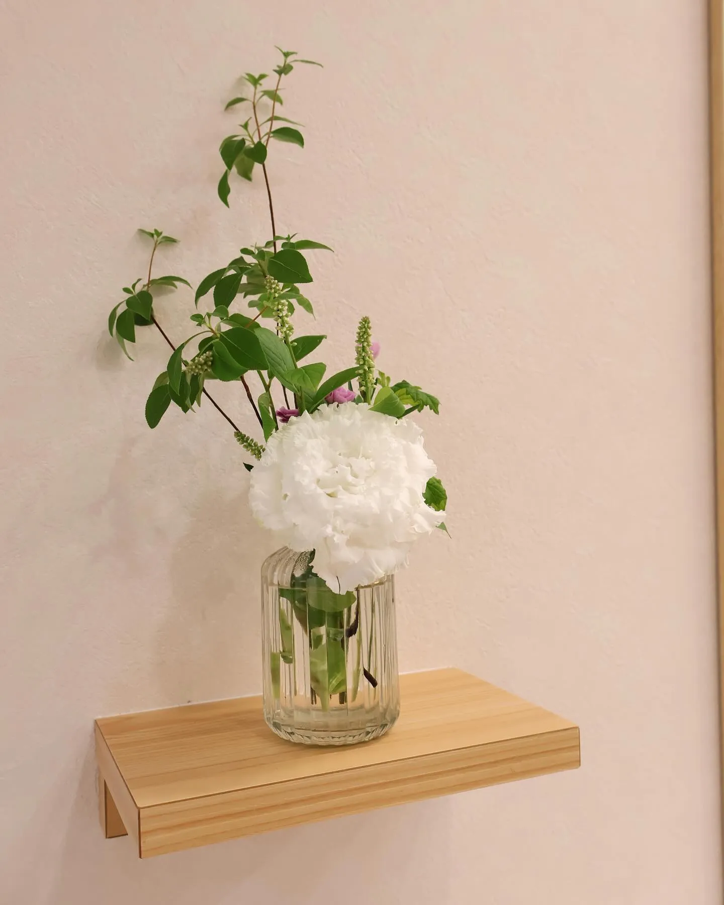 今回のお花です！
