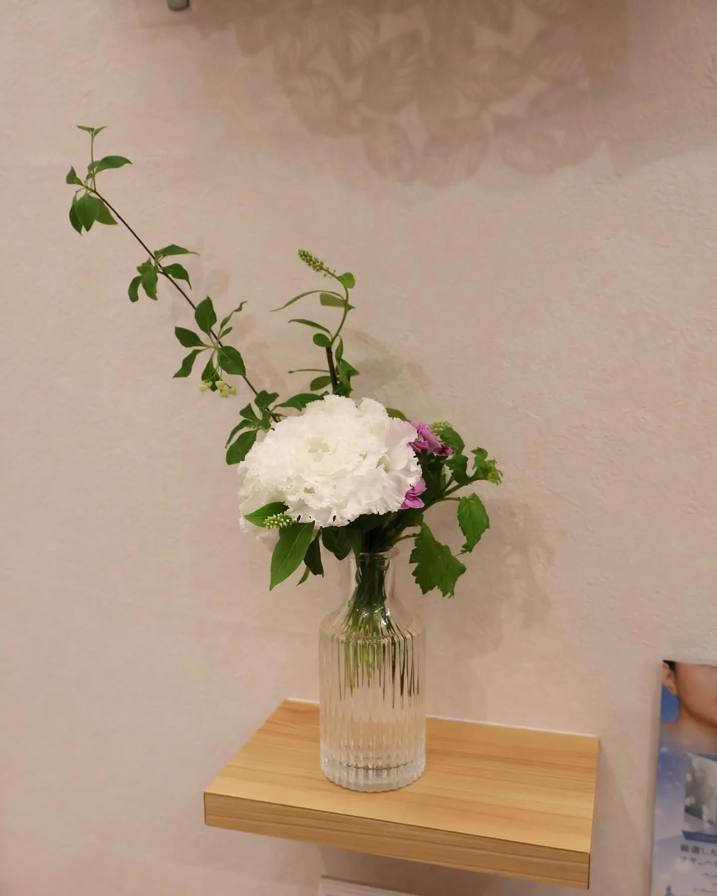 今回のお花です！