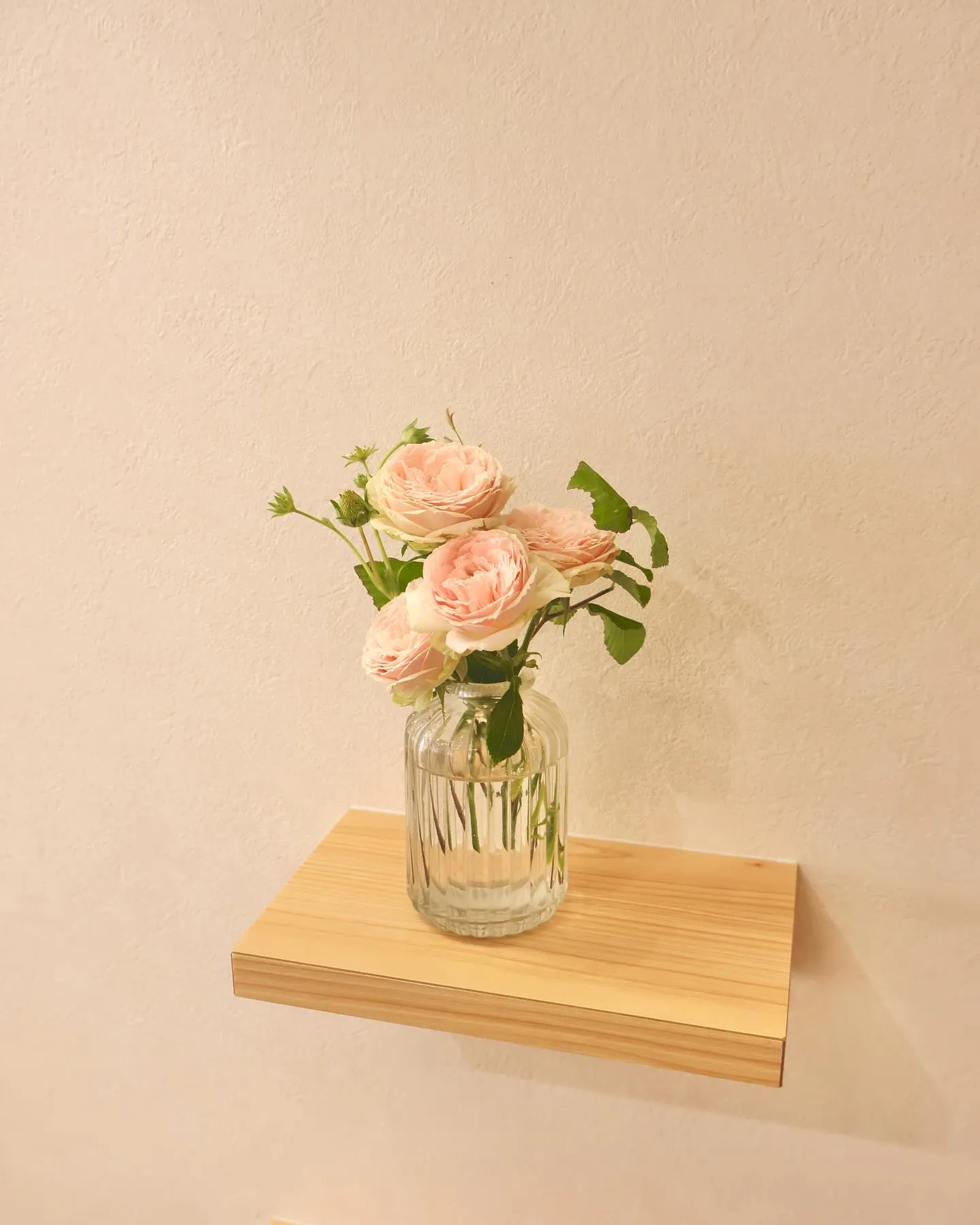 今回のお花です！