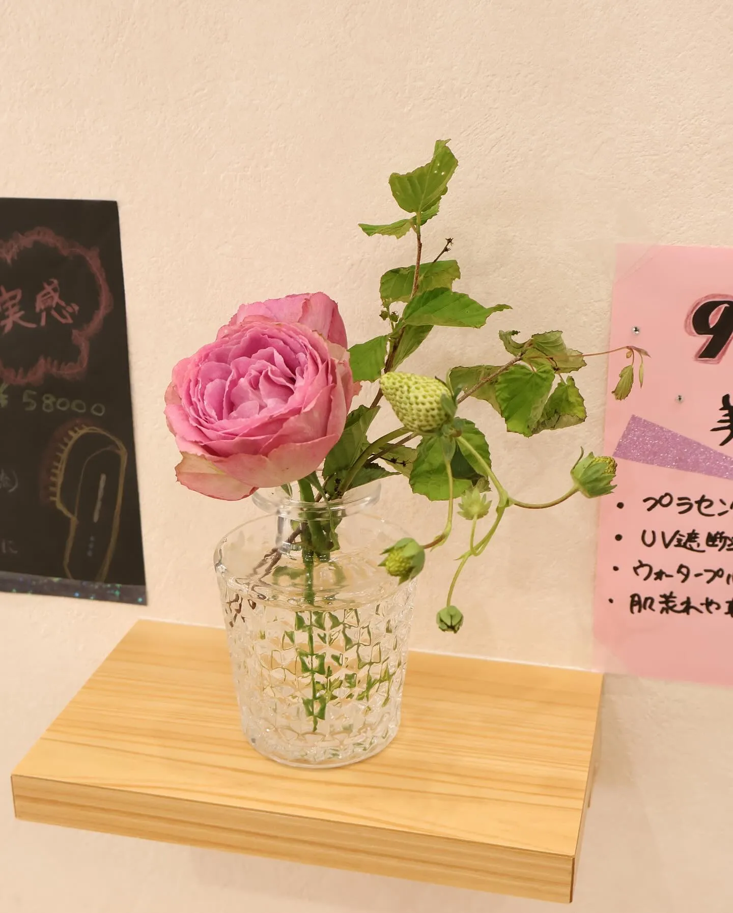 今回のお花です！