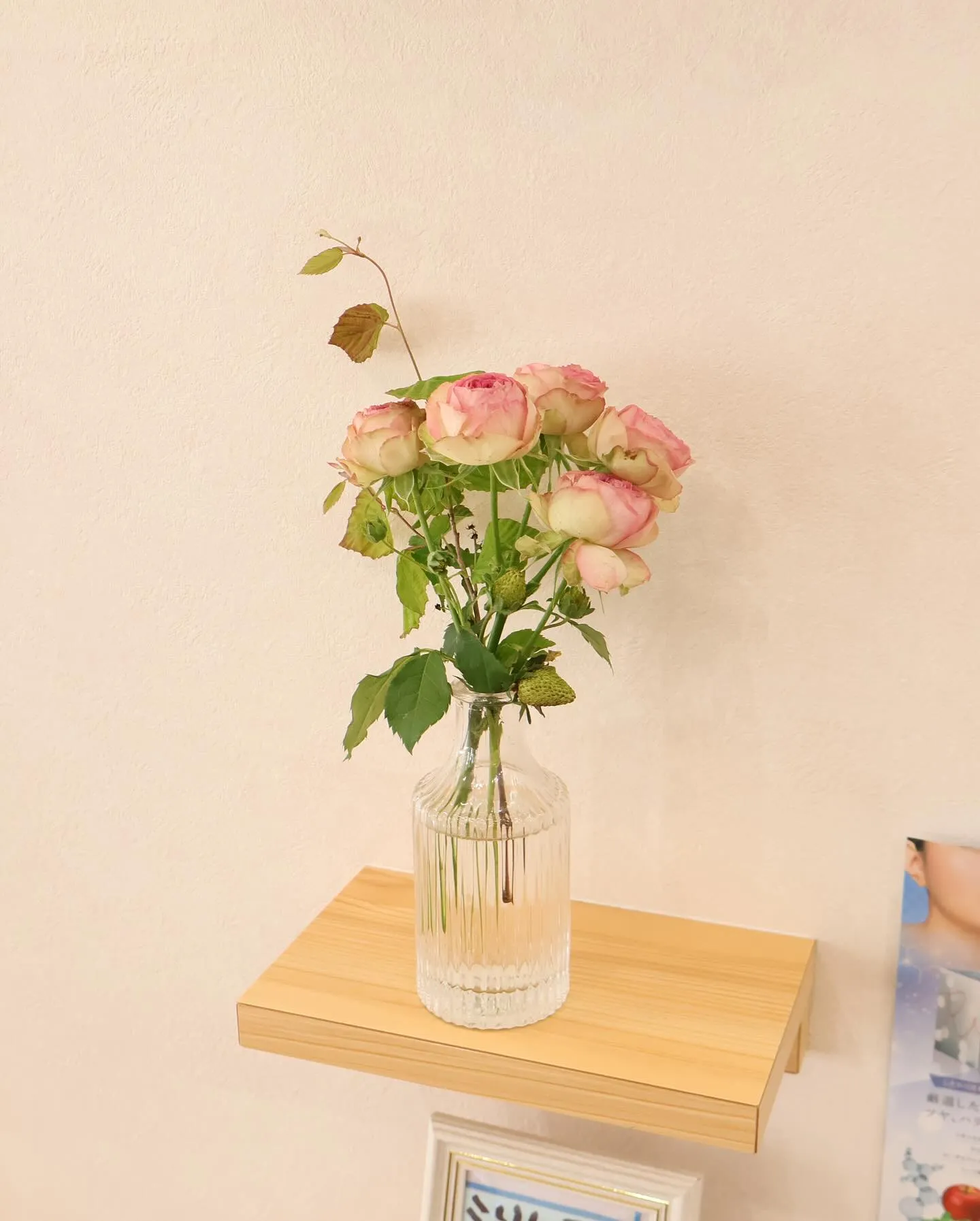 今回のお花です！