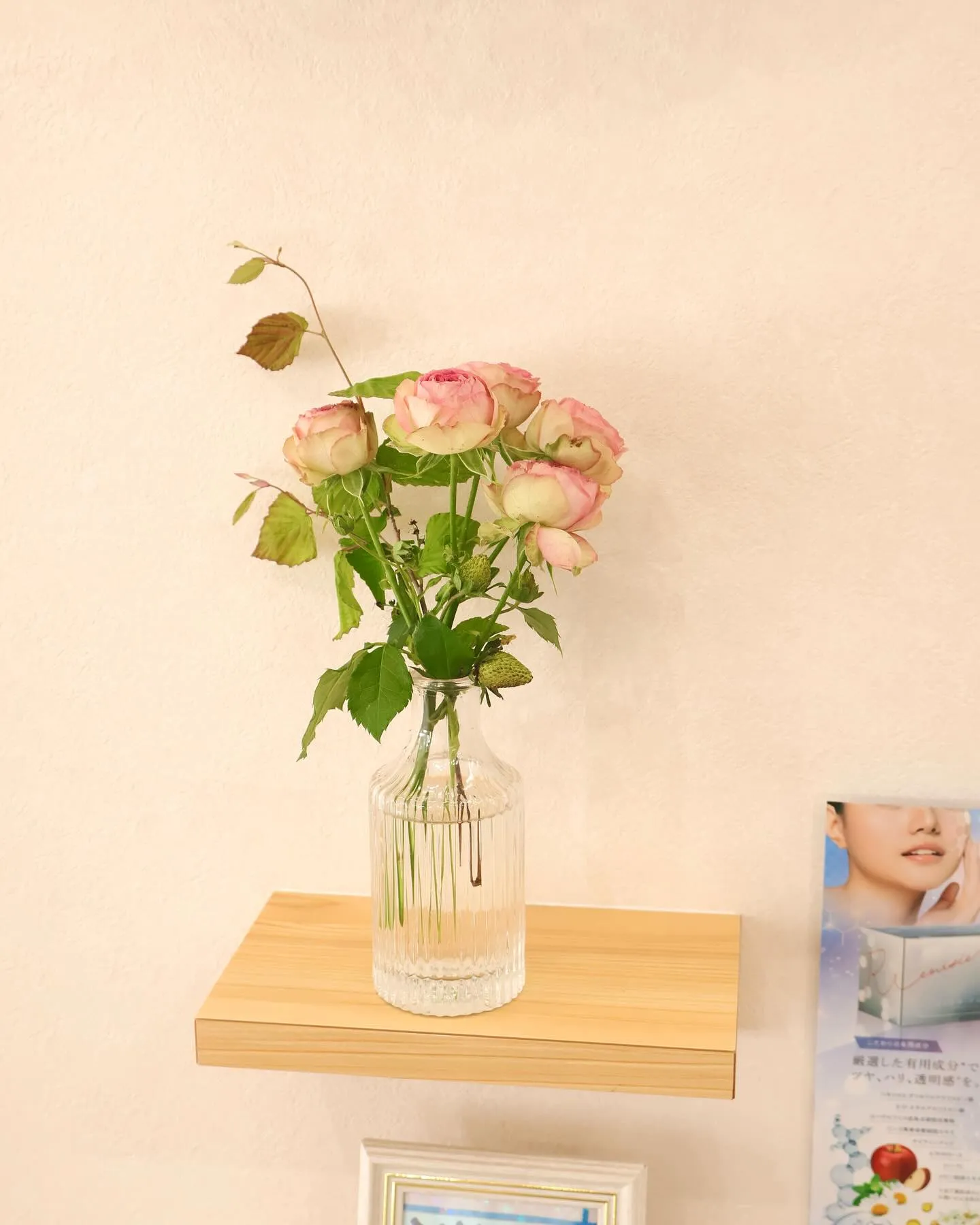 今回のお花です！