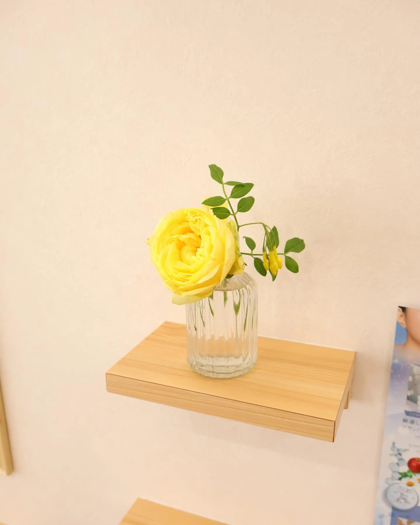 今回のお花です！