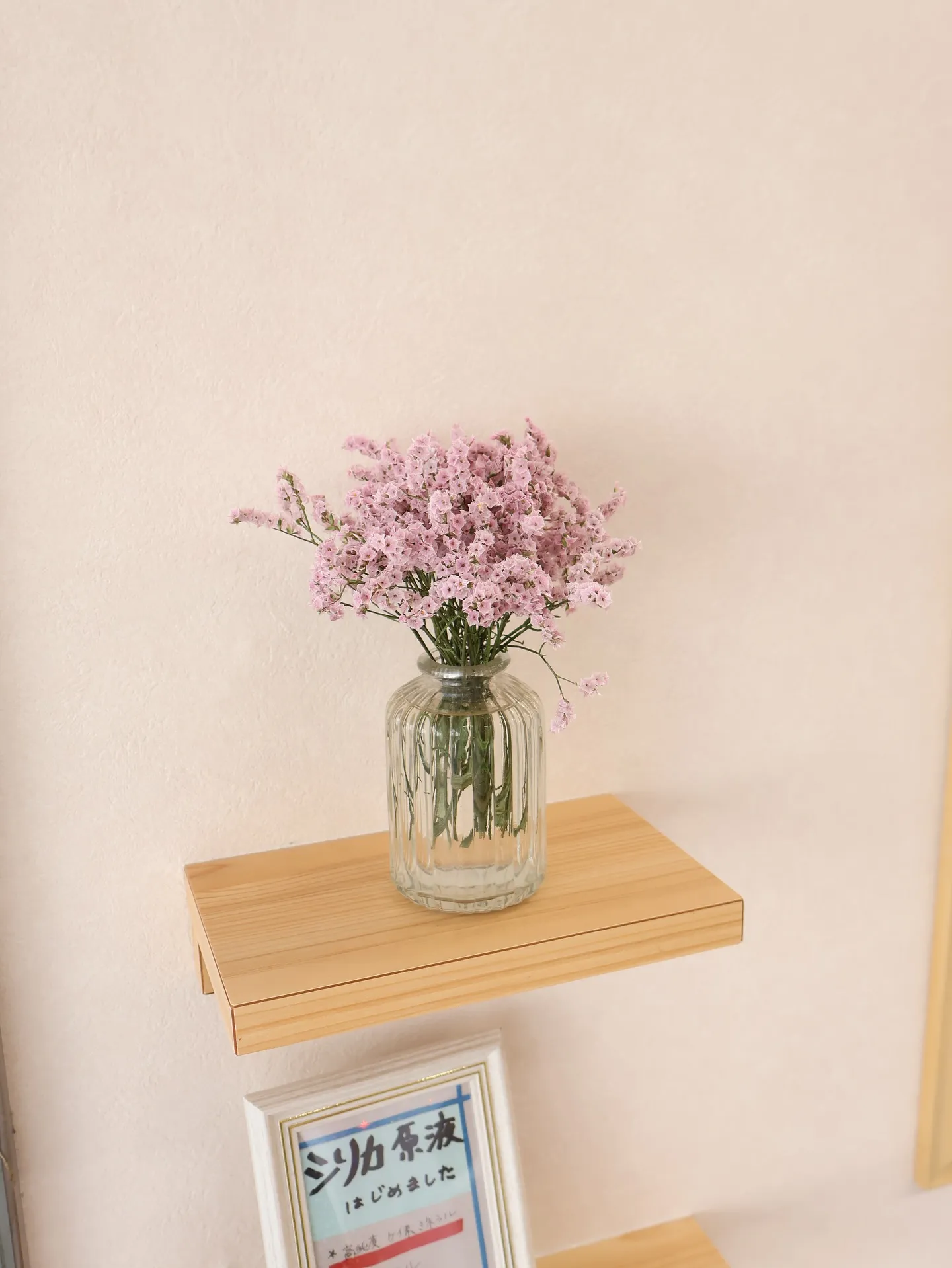今回のお花です！