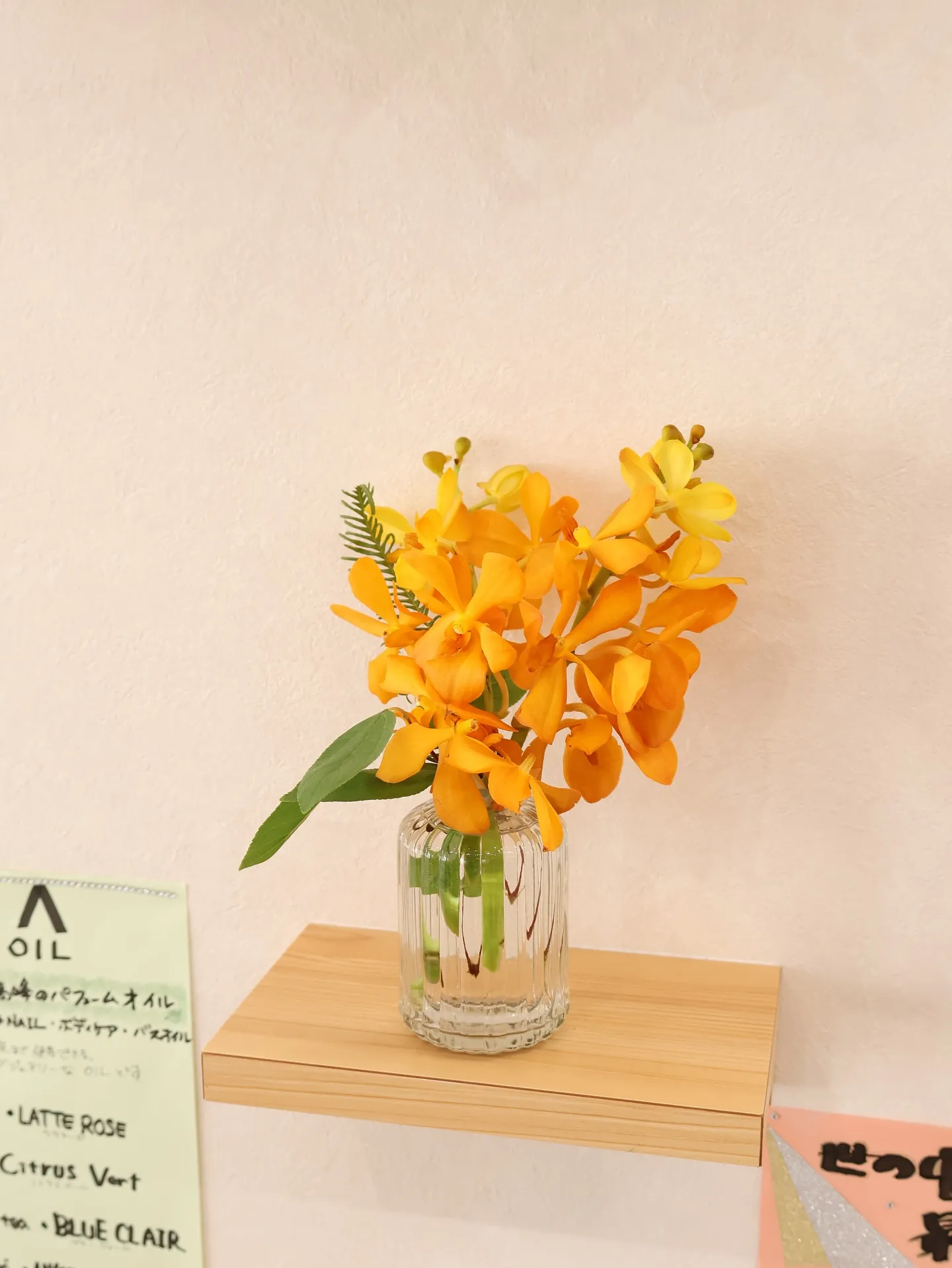今回のお花です！