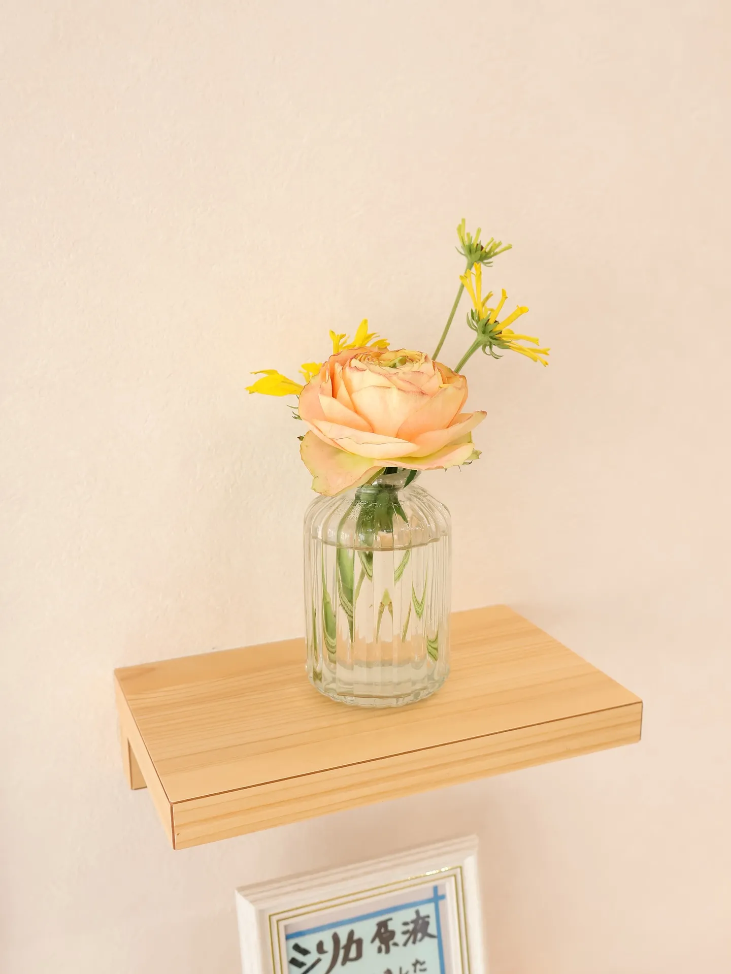 今回のお花です！