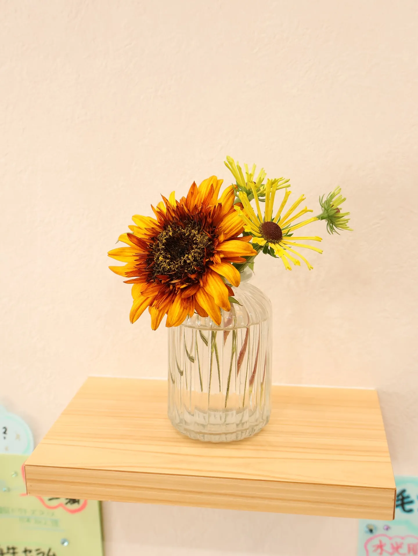 今回のお花です！
