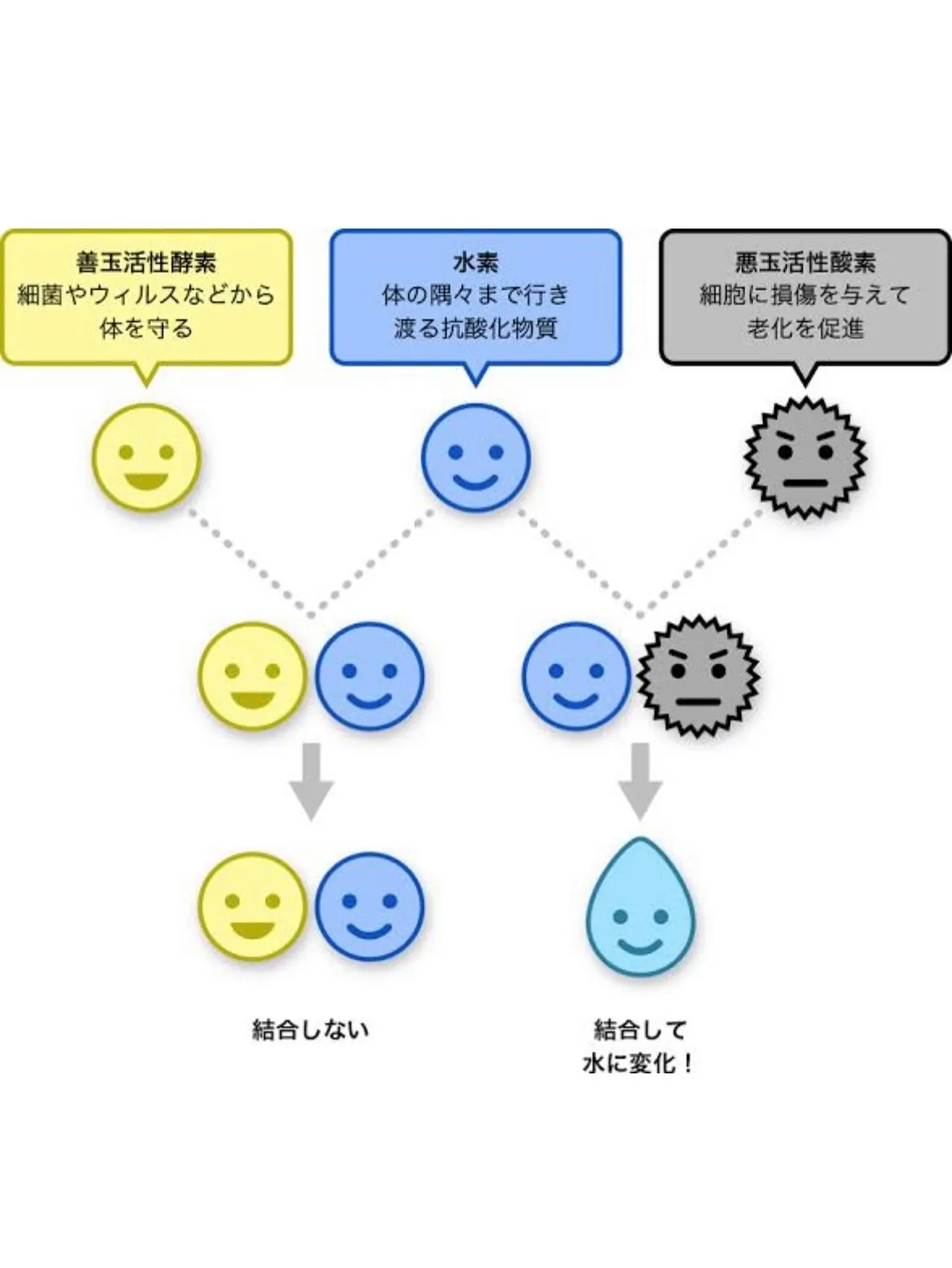 年齢による髪質の変化のお悩み解決！水素メニューとは