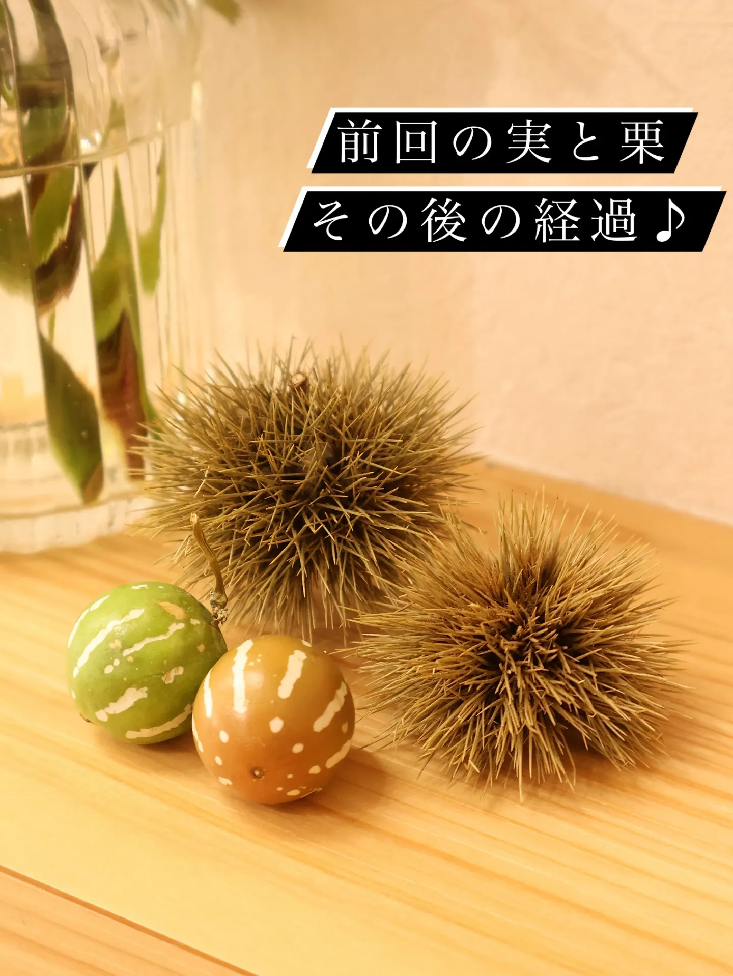 時間と共に色付く、ノバラの実と栗！