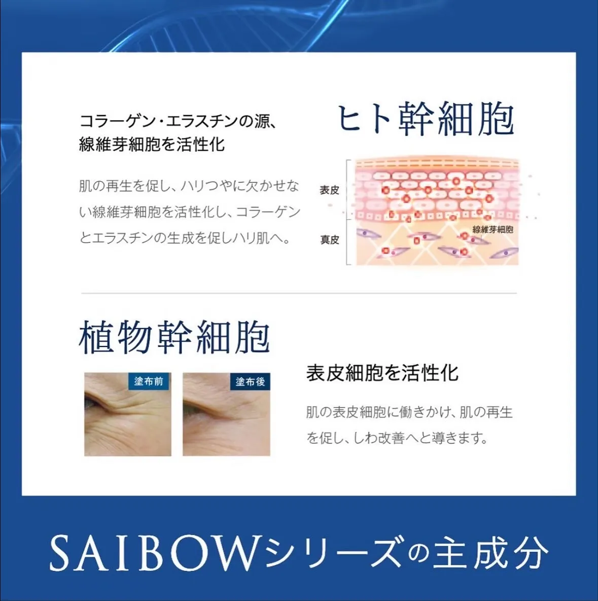 速攻60秒「塗る糸リフト」