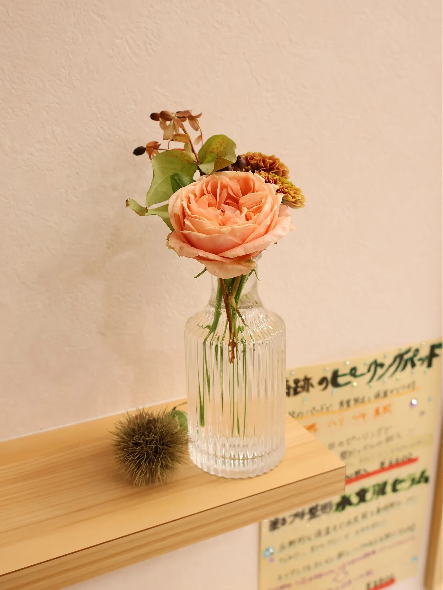 今回のお花です！