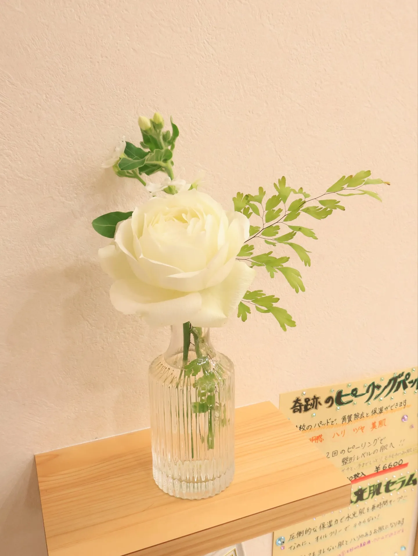 今回のお花です!