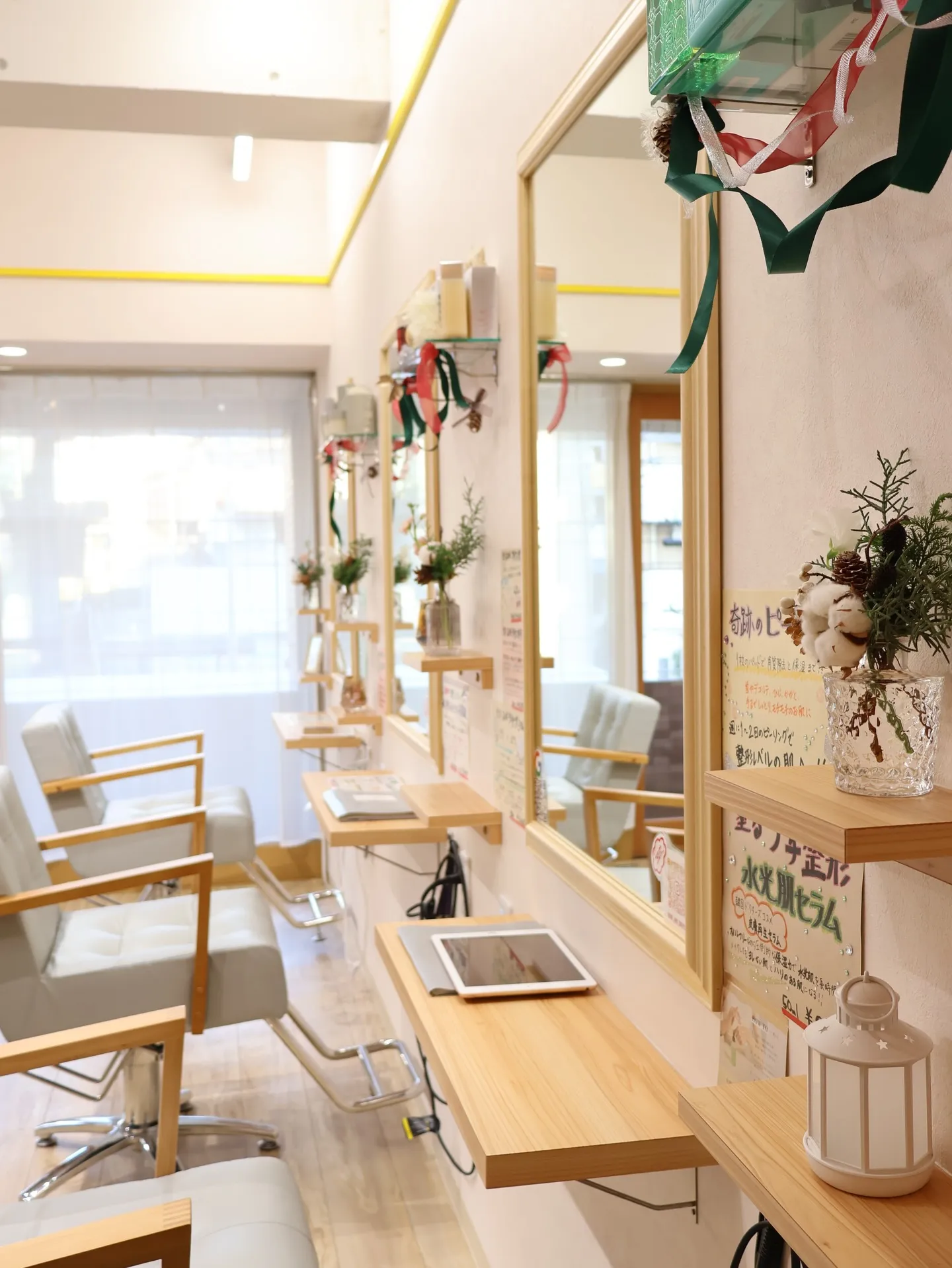 今回のお花です！