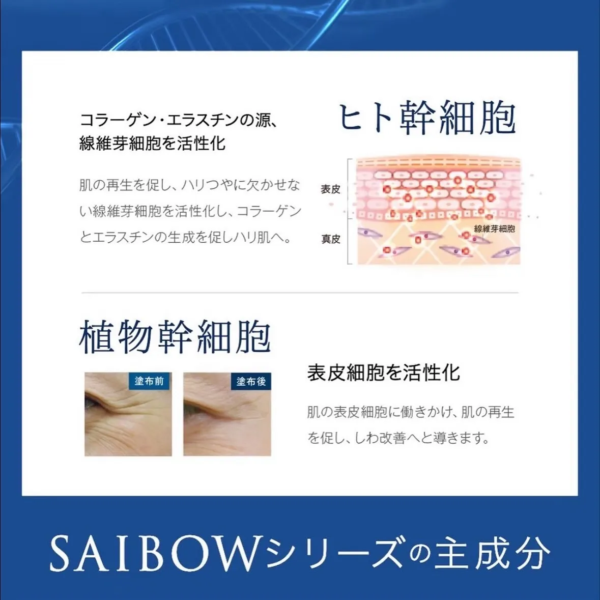 速攻60秒「塗る糸リフト」