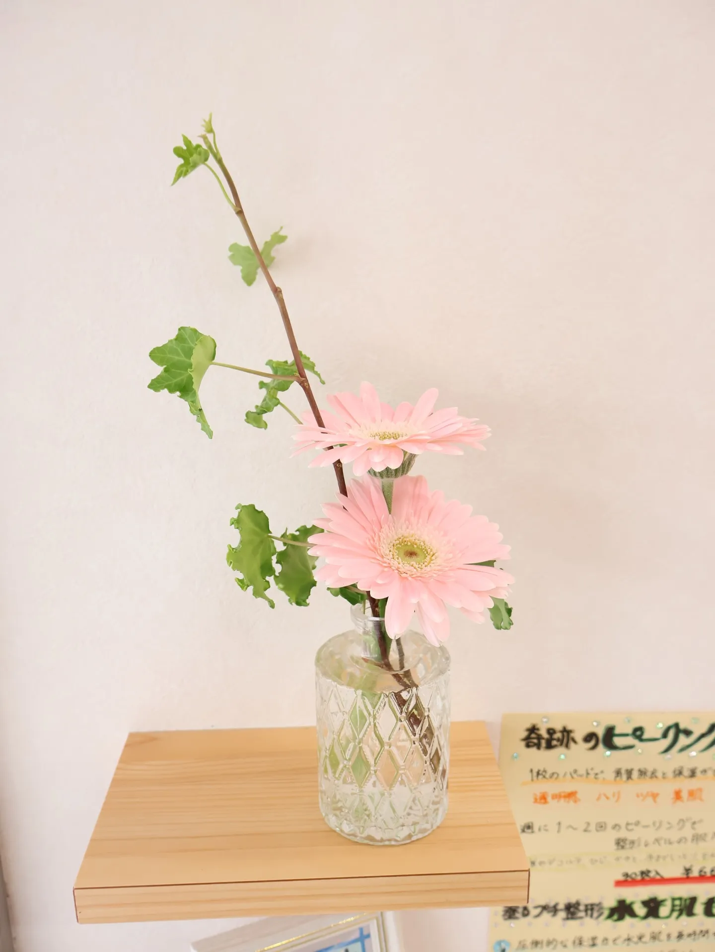 今回のお花です!