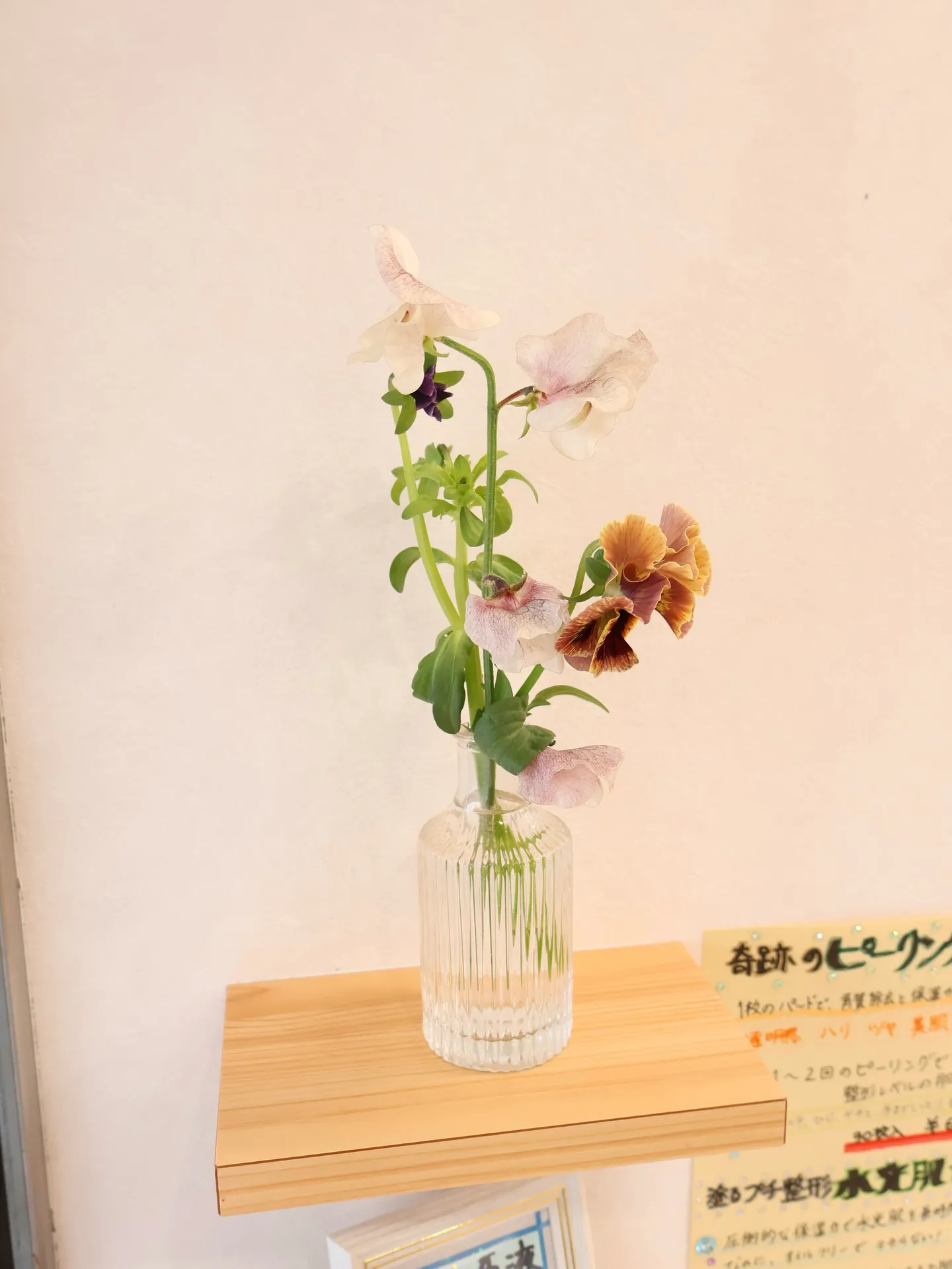 今回のお花です!