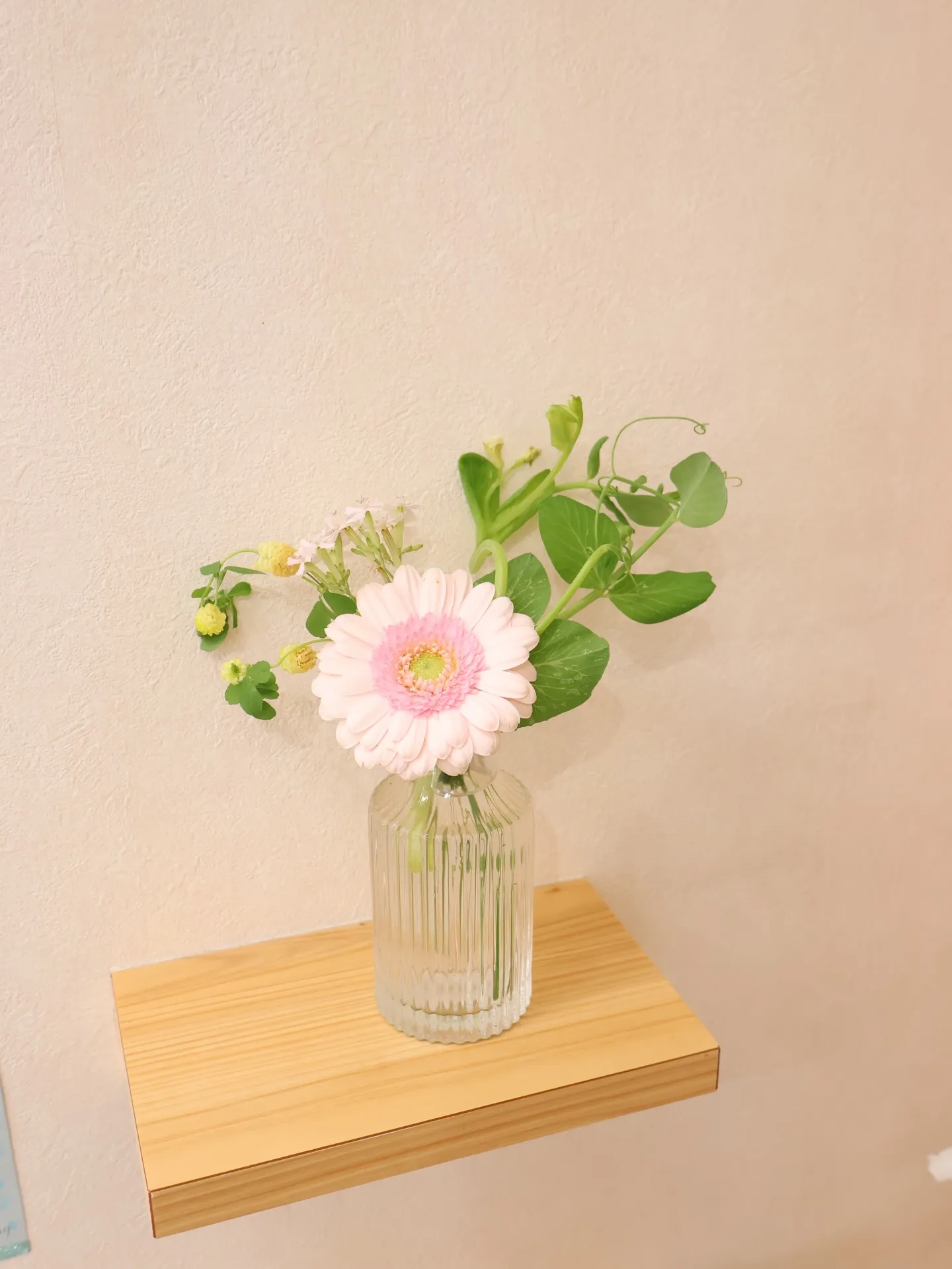 今回のお花です!