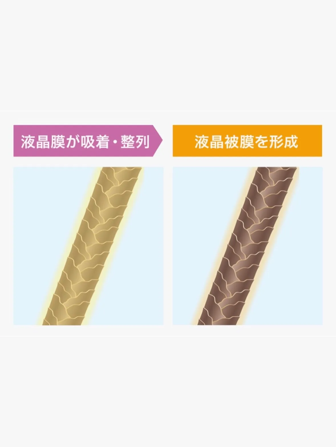 ⁡今回ご紹介させて頂くヘアケアアイテムは、リトルサイエンティ...