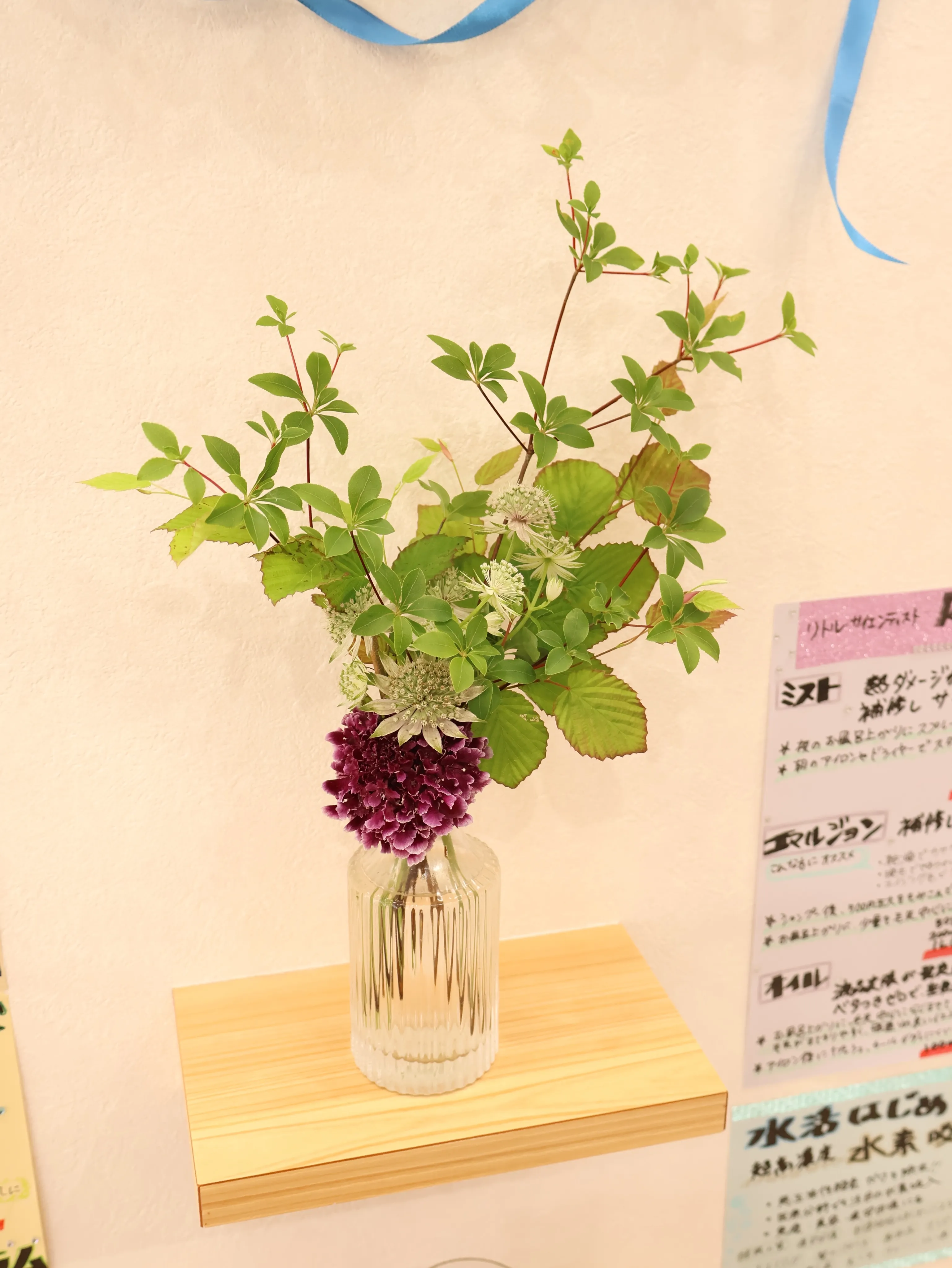 今回のお花です!
