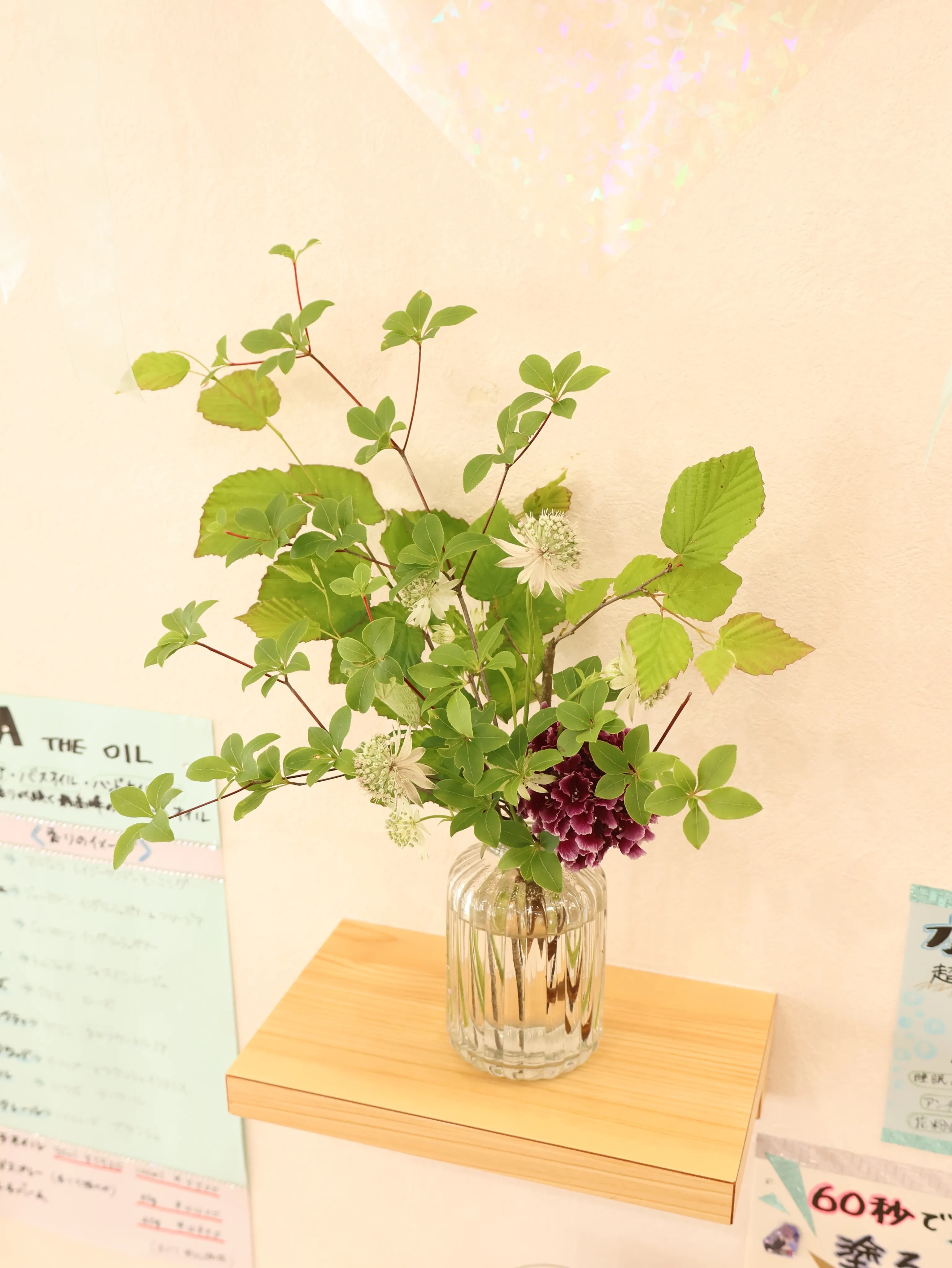 今回のお花です!