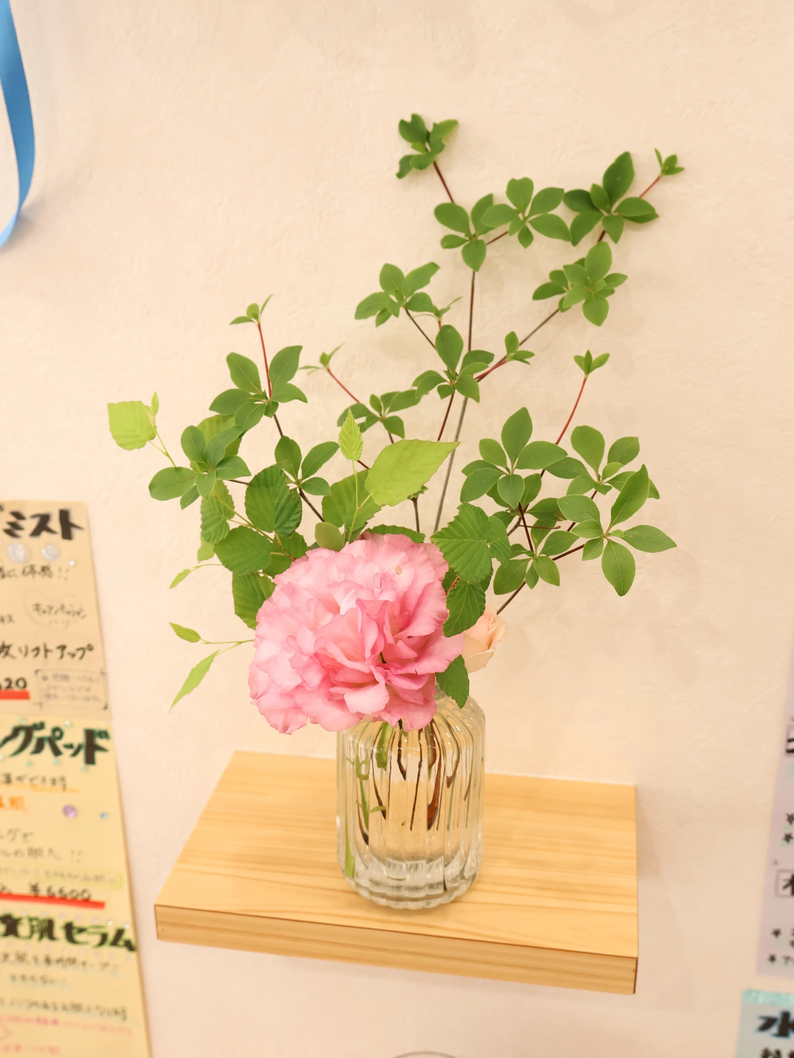 今回のお花です！