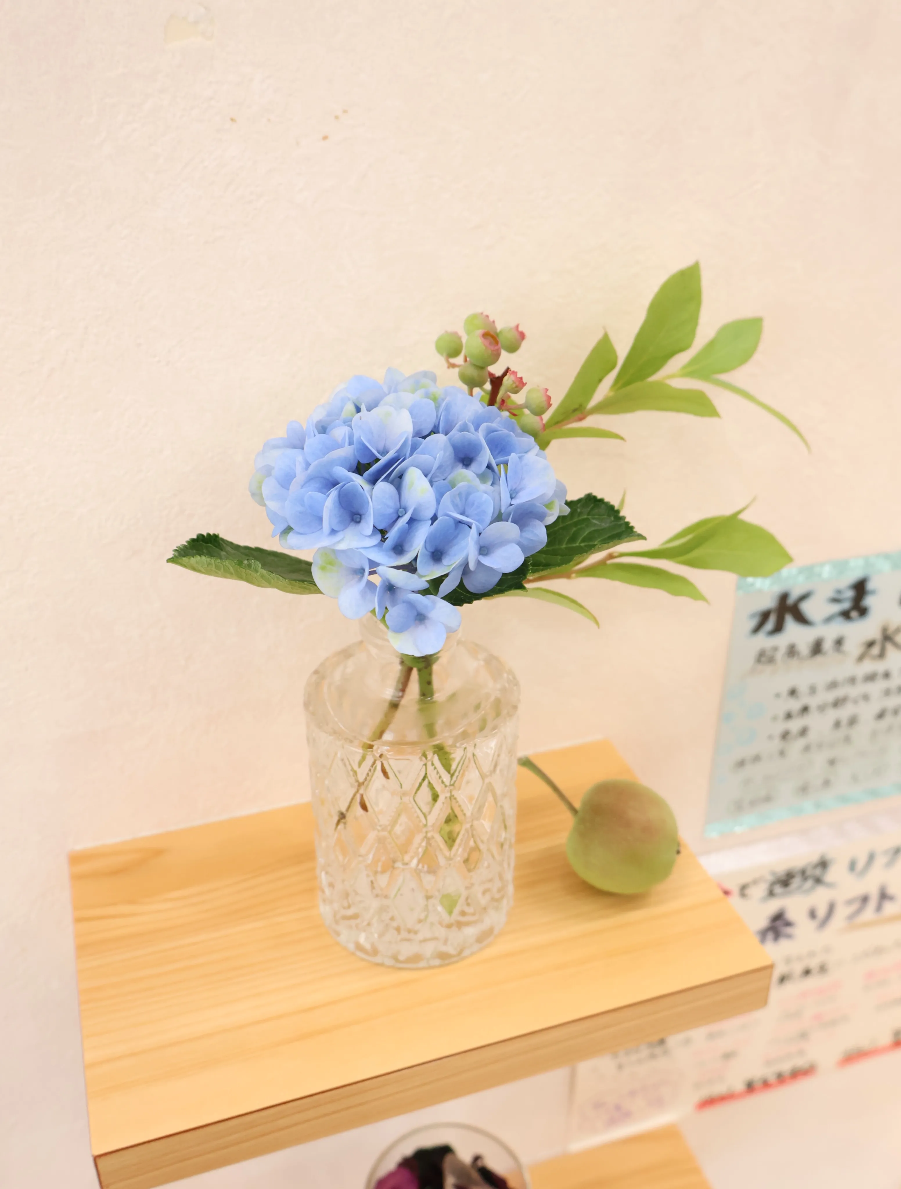 今回のお花です！