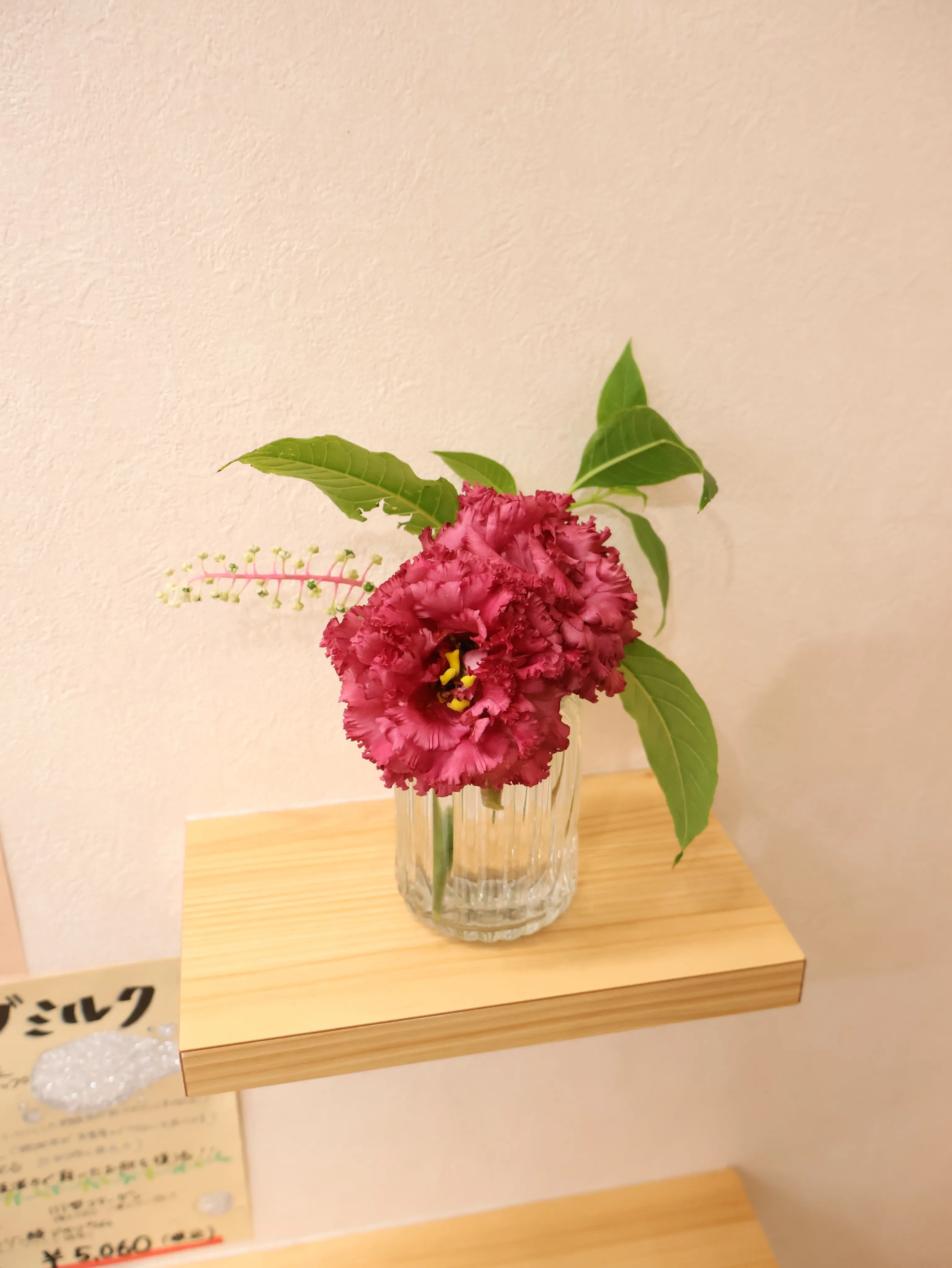 今回のお花です!