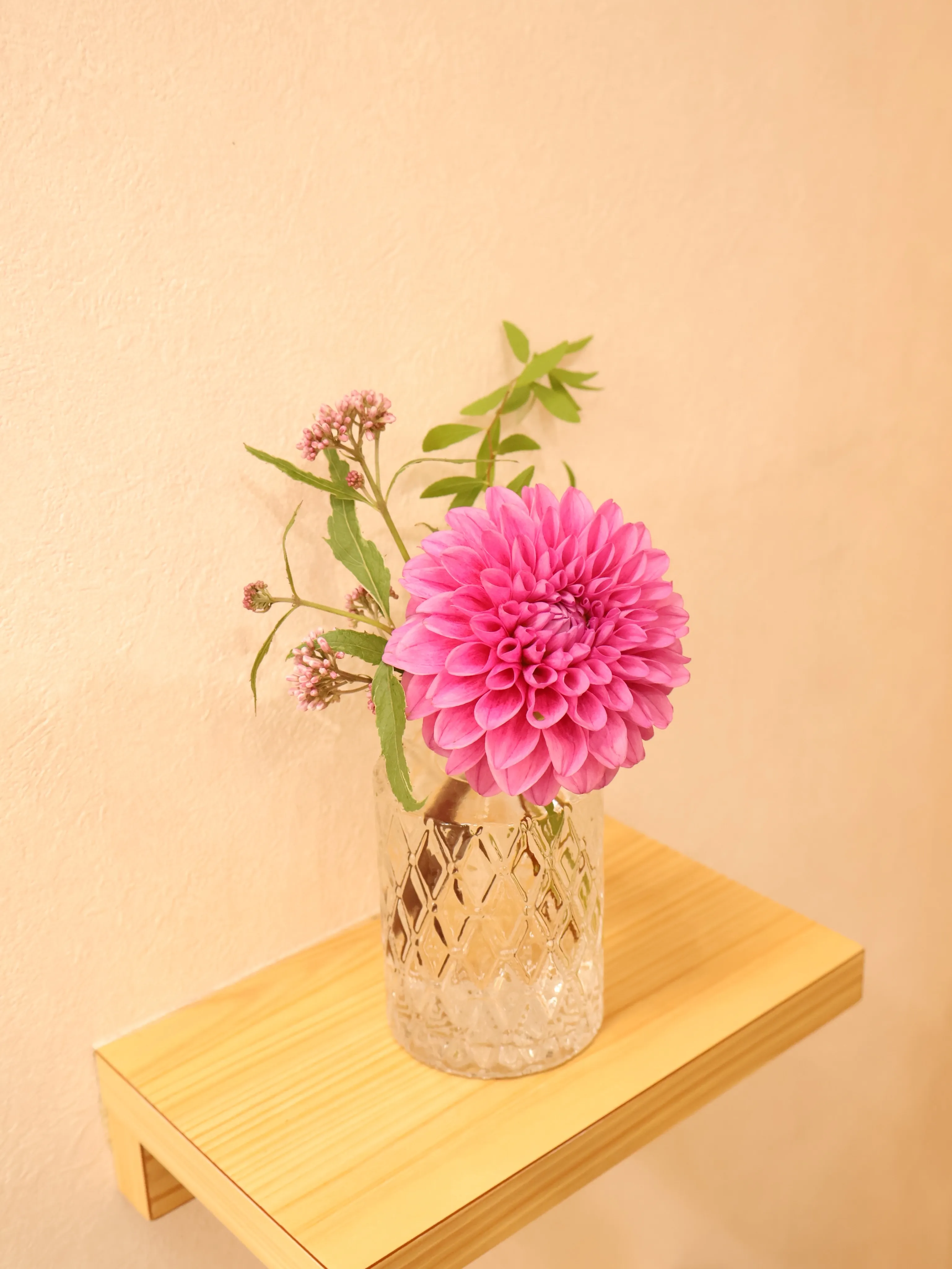 今回のお花です！
