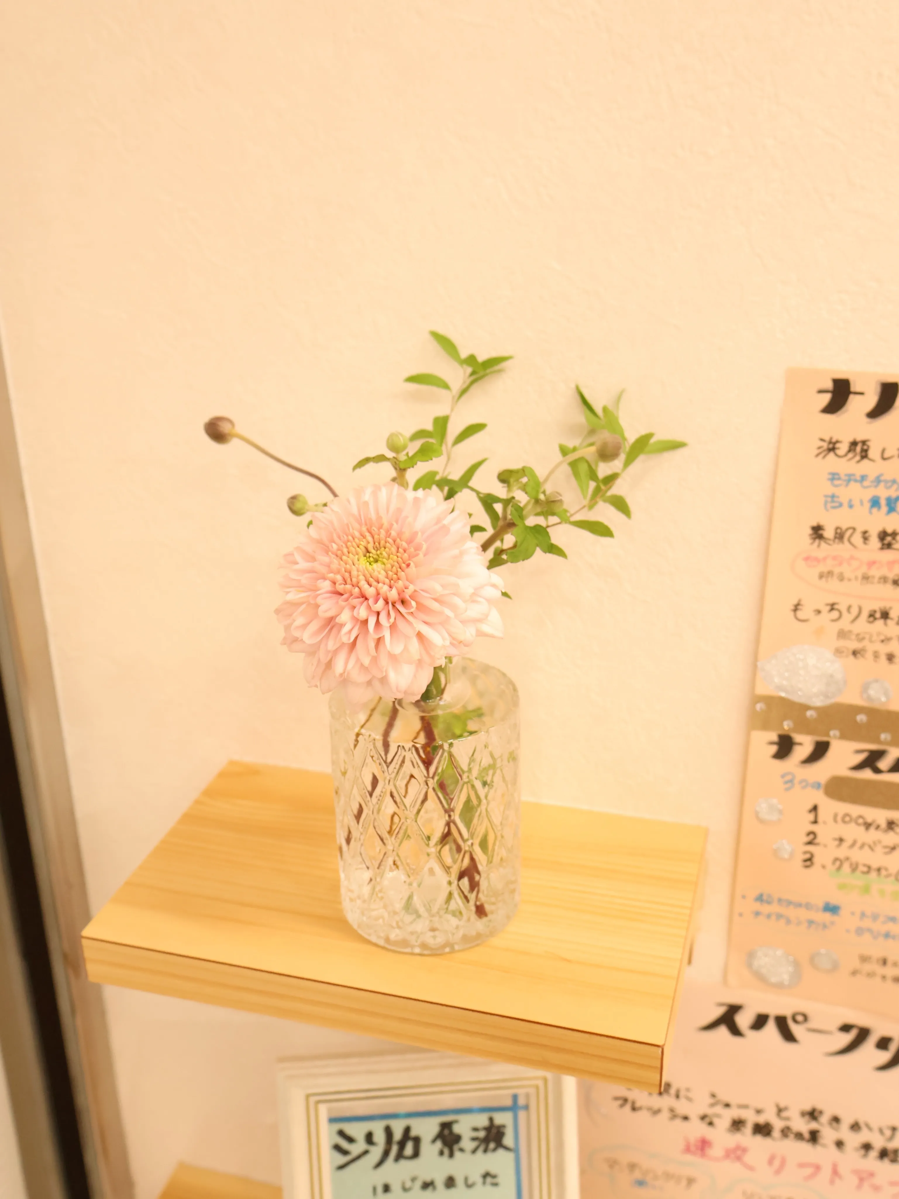 今回のお花です！