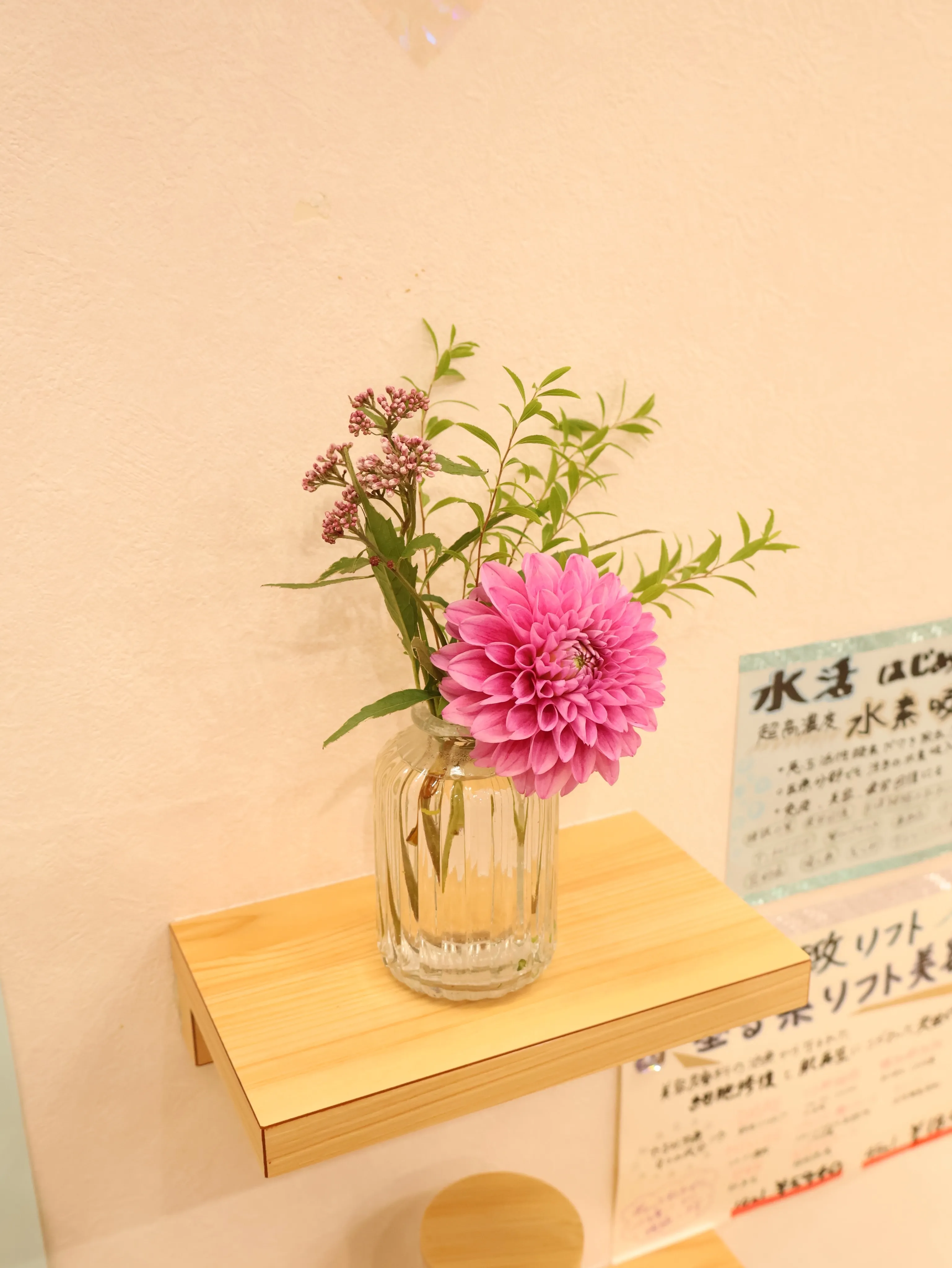今回のお花です！