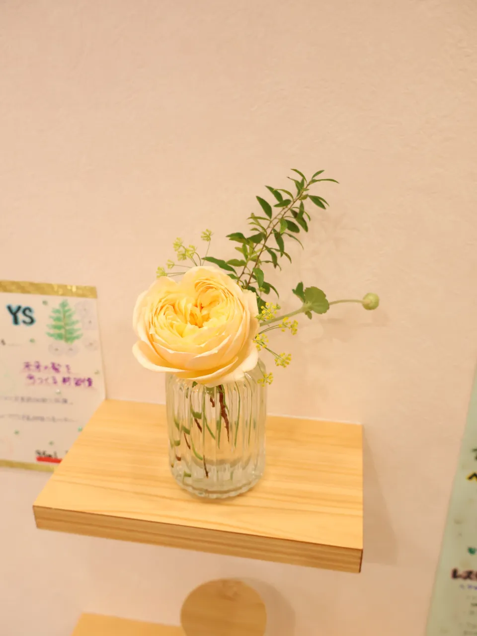 今回のお花です!