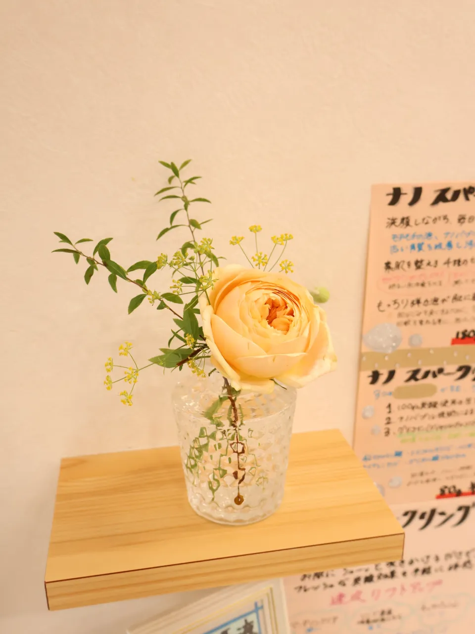 今回のお花です!