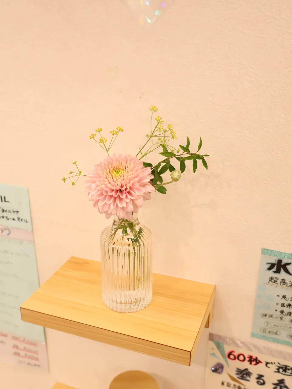 今回のお花です!