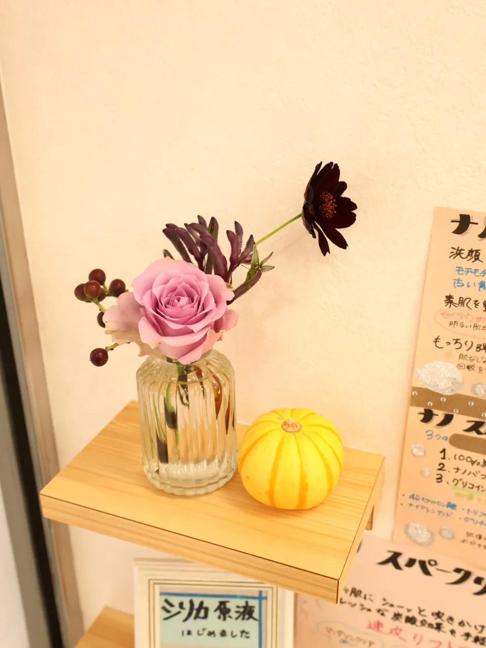 今回のお花です!